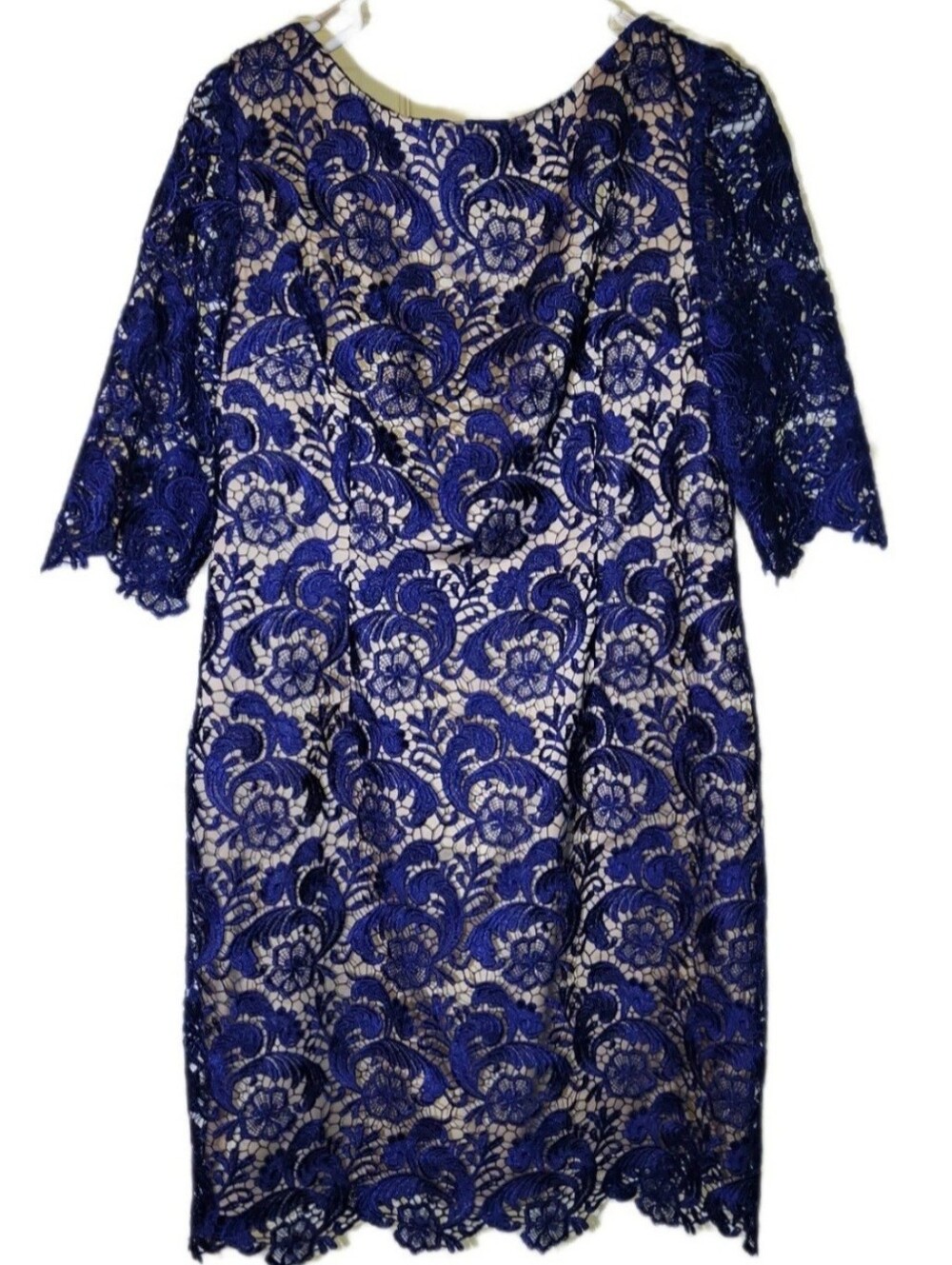 Eliza J Blue Lace Lined Cocktail Sheath Knee Length Dress Sz 14 Modest  Classic